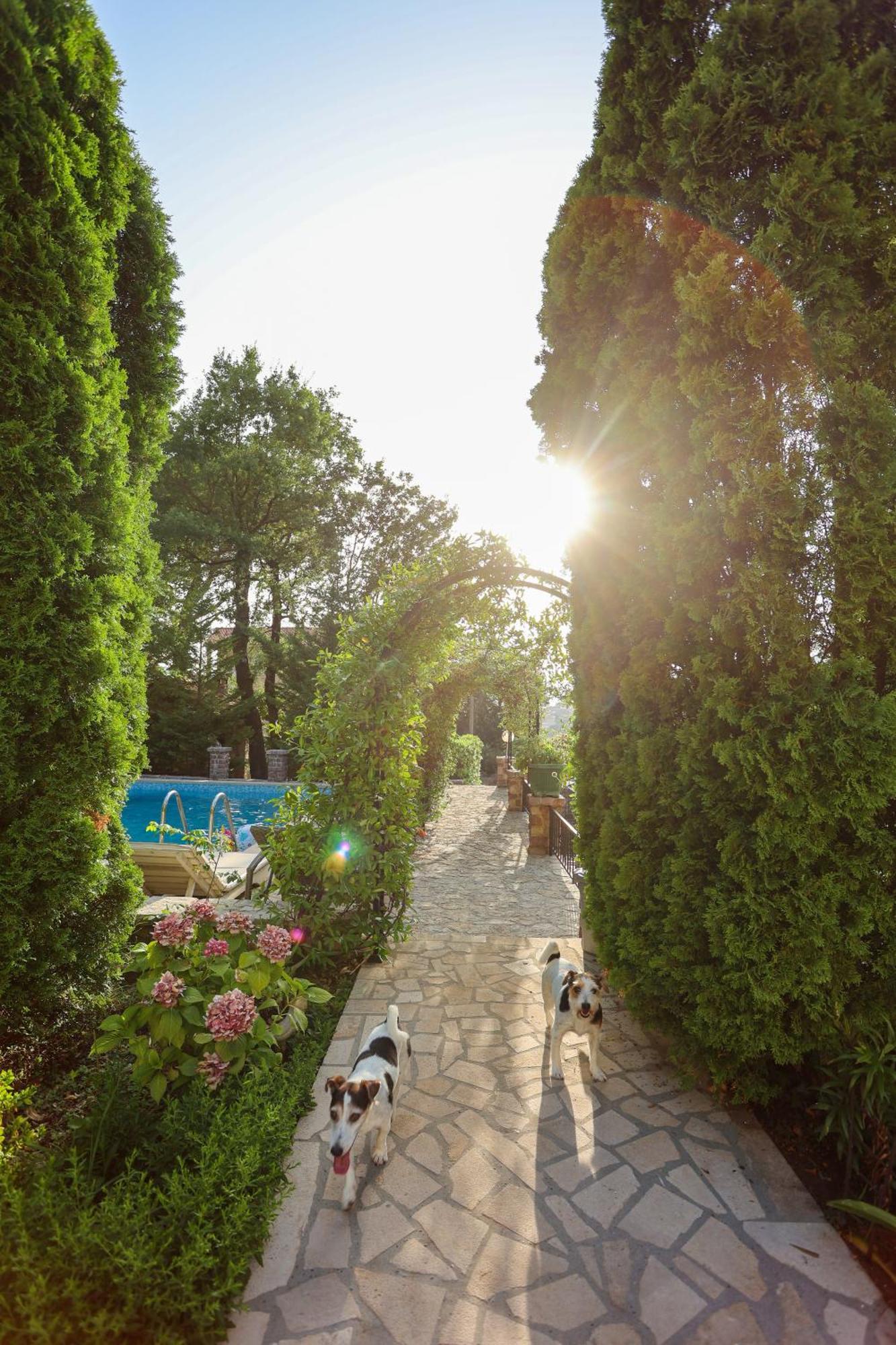 Villa Besha Herceg Novi Bagian luar foto